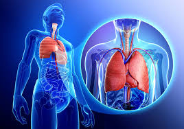 Thoracic Surgery in Bilaspur